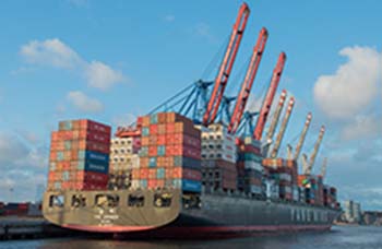 Shipping agent: bulk, full container, import and export